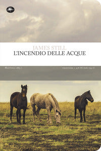 Incendio delle acque 