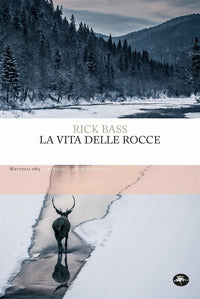 Vita delle rocce 