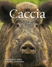 Caccia 