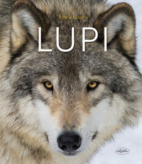 Lupi 