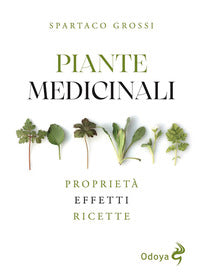 Piante medicinali - proprieta' effetti ricette 