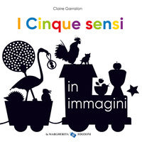 Cinque sensi in immagini 