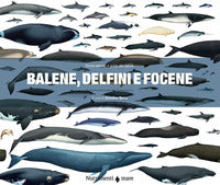 Balene delfini e focene - storia naturale e guida alle specie 