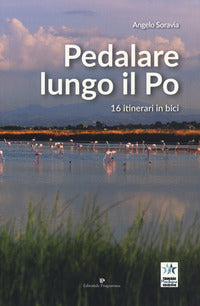 Pedalare lungo il po - 16 itinerari in bici 