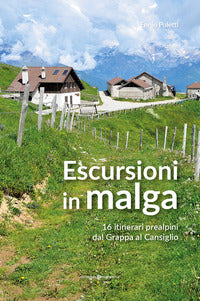 Escursioni in malga - 16 itinerari prealpini dal grappa al cansiglio 