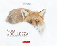 Riflessi di bellezza - un cammino fotografico in natura alla ricerca di se stessi 
