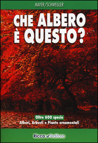 Che albero e' questo ? 