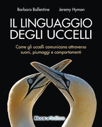 Linguaggio degli uccelli - come gli uccelli comunicano attraverso suoni piumaggi 
