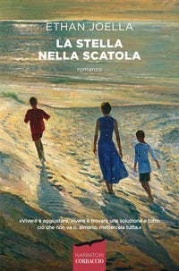 Stella nella scatola 