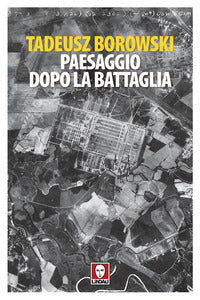 Paesaggio dopo la battaglia 