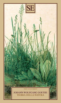 Teoria della natura 