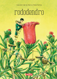 Rododendro 