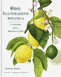 Illustrazione botanica 