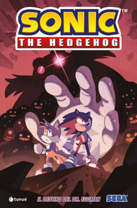 Sonic the hedgehog 