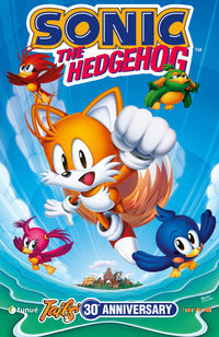 Sonic the hedgehog cover b 