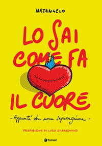 Sai come fa il cuore - appunti da una separazione 