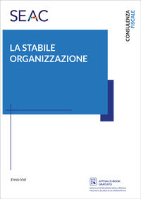 Stabile organizzazione 