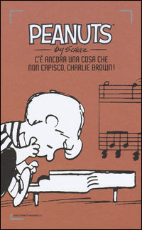 Peanuts - c'e' ancora una cosa che non capisco charlie brown ! 