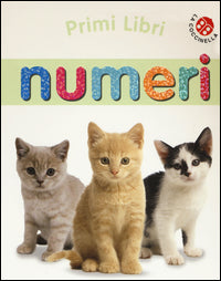Numeri - primi libri 