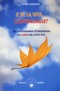 E se la vita continuasse ? - una straordinaria testimonianza sul karma nel dopo vita 