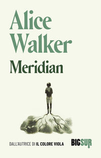 Meridian 