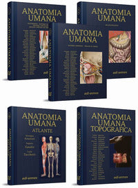 Anatomy bag plus trattato di anatomia umana anatomia topografica atlante di anatomia umana 