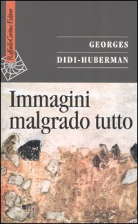 Immagini malgrado tutto 