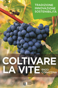 Coltivare la vite. tradizione, innovazione, sostenibilita'. +dvd 
