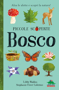 Bosco - piccole scoperte 