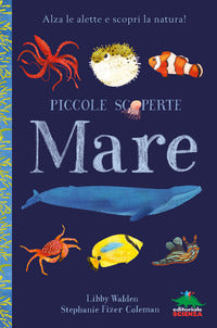 Mare - piccole scoperte 
