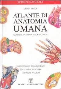 Atlante di anatomia umana 