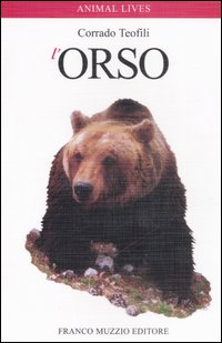 Orso 