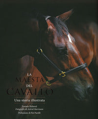 Maesta' del cavallo - una storia illustrata 