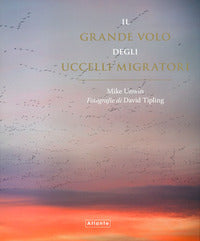 Grande volo degli uccelli migratori 