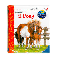 Pony 