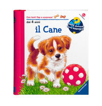 Cane 