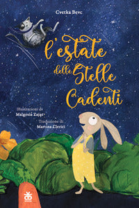 Estate delle stelle cadenti 
