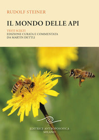 Mondo delle api 