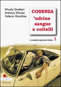 Criminalita' organizzata in calabria vol. 1: cosenza 'ndrine sangue e coltelli 