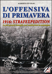 Offensiva di primavera 1916 strafexpedition 