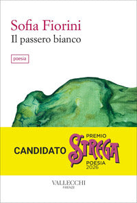 Passero bianco 