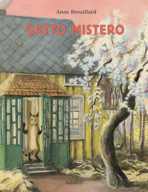 Gatto mistero 