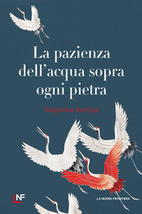 Pazienza dell'acqua sopra ogni pietra 
