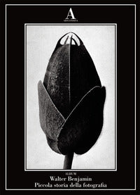 Piccola storia della fotografia. ediz. illustrata 