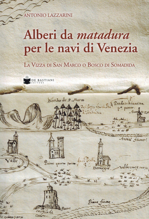 Alberi da matadura per le navi di venezia - la vizza di san marco o bosco di somadida 
