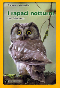 Rapaci notturni del triveneto 