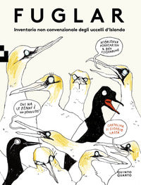 Fuglar - inventario non convenzionale degli uccelli d'islanda 