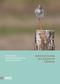 Birdwatching in laguna di venezia 