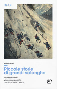 Piccole storie di grandi valanghe 