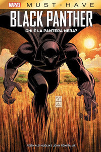 Black panther - chi e' la pantera nera ? 